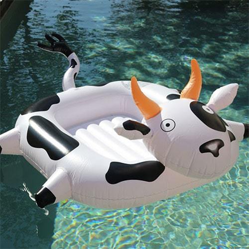 Bouée bébé vache dans piscine