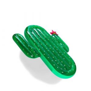 Matelas gonflable cactus